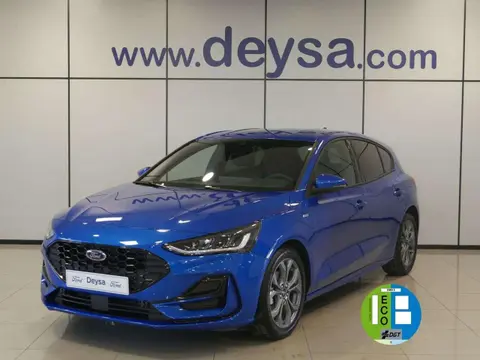 Used FORD FOCUS Petrol 2024 Ad 