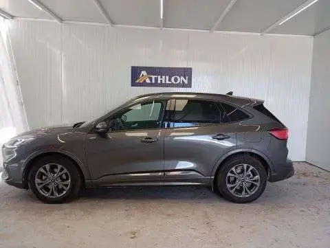 Used FORD KUGA Diesel 2023 Ad 