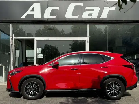 Used LEXUS NX Hybrid 2022 Ad 