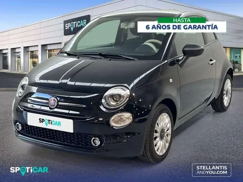 Used FIAT 500 Petrol 2023 Ad 