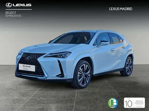 Annonce LEXUS UX Hybride 2024 d'occasion 