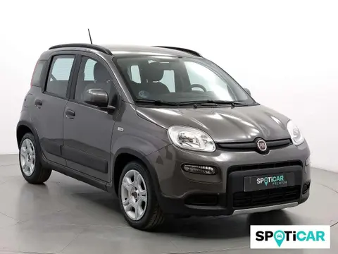 Used FIAT PANDA Hybrid 2022 Ad 