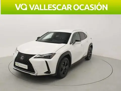 Annonce LEXUS UX Essence 2023 d'occasion 