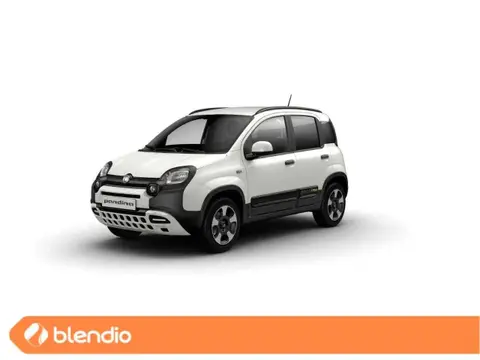 Used FIAT PANDA Hybrid 2024 Ad 