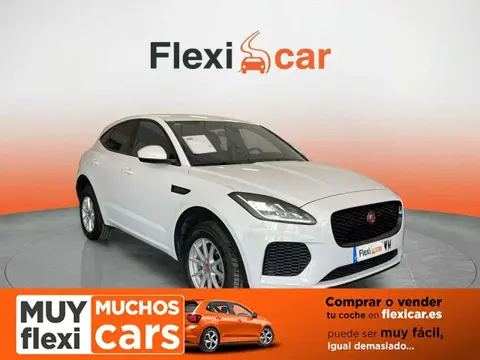 Used JAGUAR E-PACE Diesel 2019 Ad 