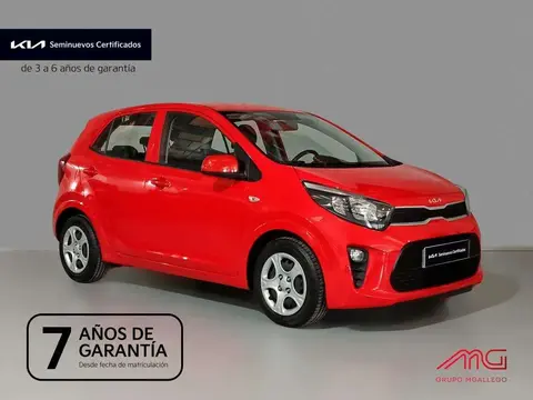 Used KIA PICANTO Petrol 2023 Ad 