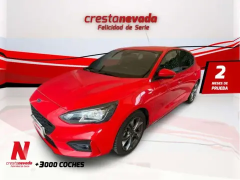 Annonce FORD FOCUS Hybride 2022 d'occasion 