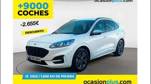 Annonce FORD KUGA Hybride 2023 d'occasion 