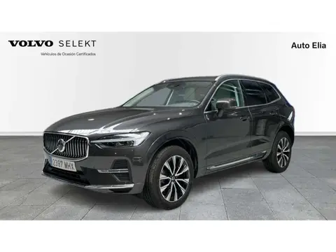 Annonce VOLVO XC60 Diesel 2023 d'occasion 