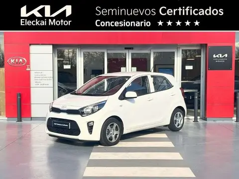 Annonce KIA PICANTO Essence 2023 d'occasion 