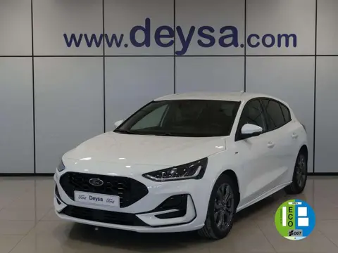 Annonce FORD FOCUS Essence 2024 d'occasion 