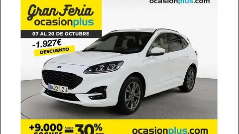 Used FORD KUGA Petrol 2022 Ad 