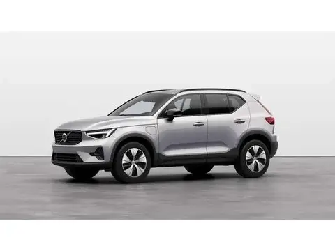 Used VOLVO XC40 Hybrid 2024 Ad 