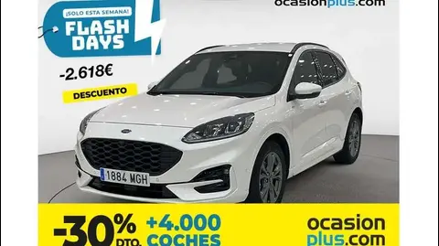 Used FORD KUGA Hybrid 2023 Ad 