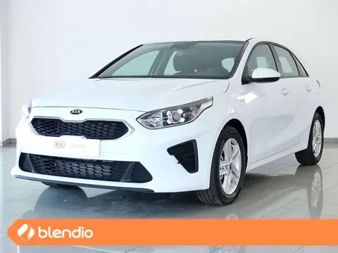 Annonce KIA CEED Essence 2024 d'occasion 