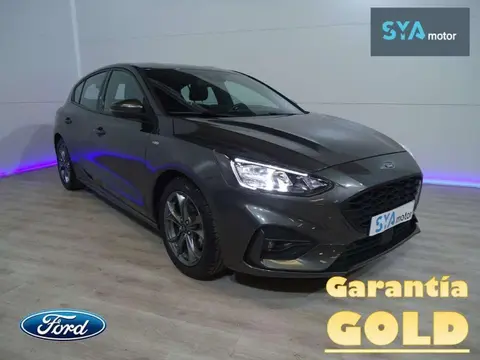 Annonce FORD FOCUS Essence 2019 d'occasion 