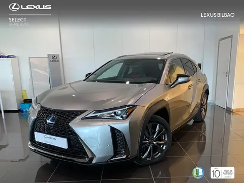 Used LEXUS UX Hybrid 2019 Ad 