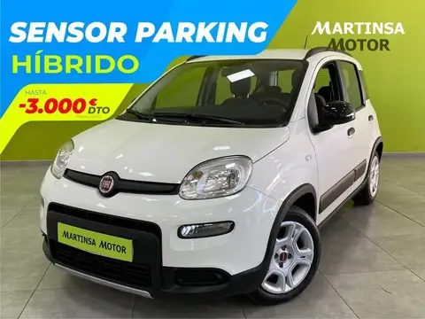 Used FIAT PANDA Petrol 2023 Ad 