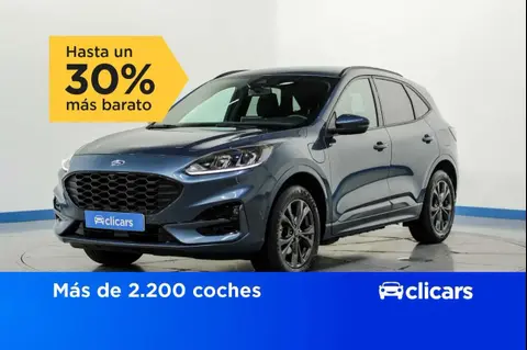 Used FORD KUGA Hybrid 2022 Ad 