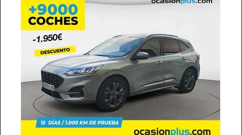 Annonce FORD KUGA Essence 2022 d'occasion 