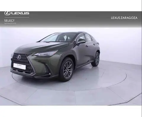 Annonce LEXUS NX Hybride 2024 d'occasion 