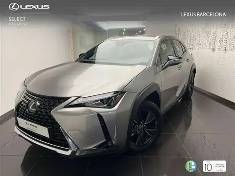 Annonce LEXUS UX Hybride 2020 d'occasion 