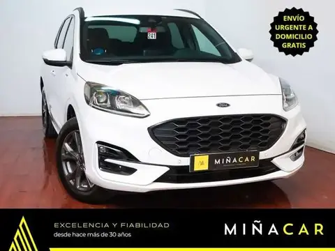 Used FORD KUGA Hybrid 2022 Ad 