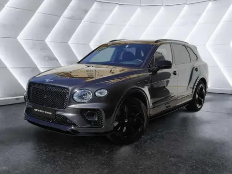 Used BENTLEY BENTAYGA Petrol 2023 Ad 