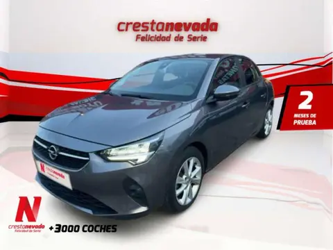 Annonce OPEL CORSA Essence 2019 d'occasion 