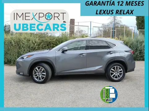 Annonce LEXUS NX Hybride 2016 d'occasion 