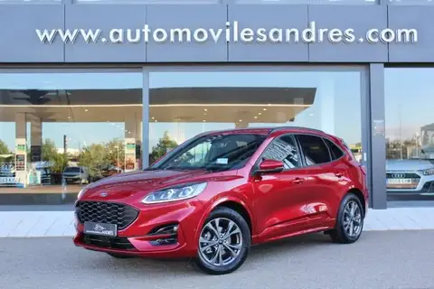 Used FORD KUGA Hybrid 2023 Ad 