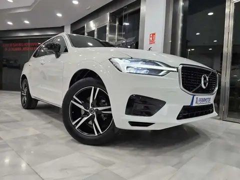 Used VOLVO XC60 Diesel 2019 Ad 