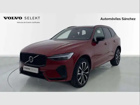 Used VOLVO XC60 Diesel 2023 Ad 