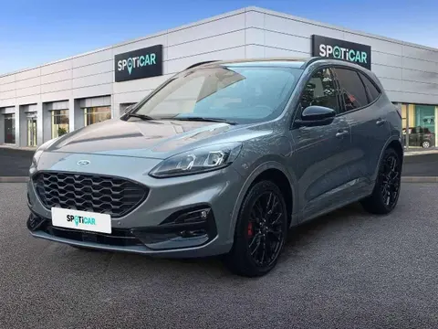 Annonce FORD KUGA Hybride 2023 d'occasion 