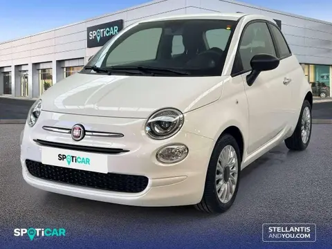 Used FIAT 500 Petrol 2021 Ad 