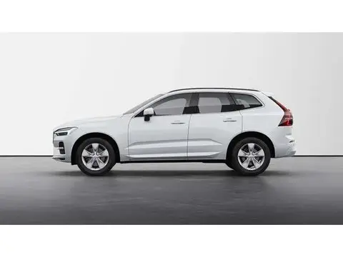 Annonce VOLVO XC60 Diesel 2024 d'occasion 