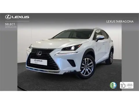 Annonce LEXUS NX Hybride 2018 d'occasion 