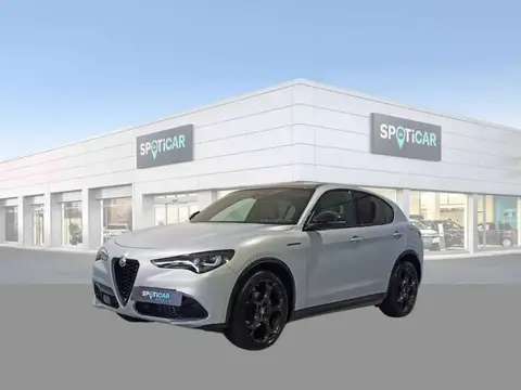 Annonce ALFA ROMEO STELVIO Diesel 2023 d'occasion 