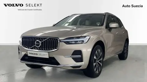 Used VOLVO XC60 Petrol 2023 Ad 