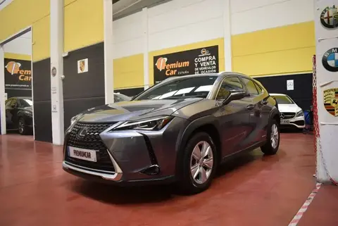 Used LEXUS UX  2021 Ad 