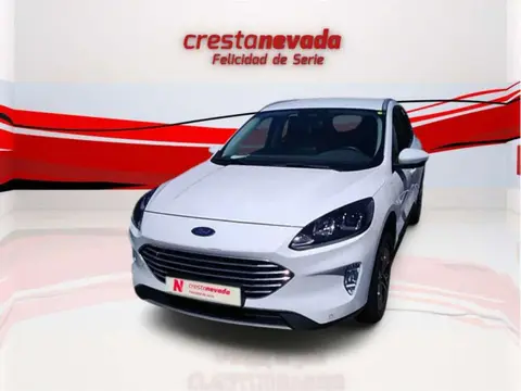 Used FORD KUGA Hybrid 2020 Ad 