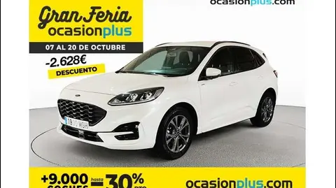 Annonce FORD KUGA Hybride 2023 d'occasion 