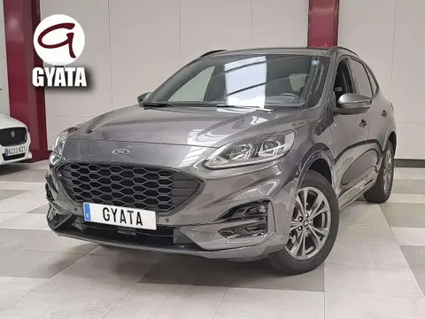 Annonce FORD KUGA  2023 d'occasion 