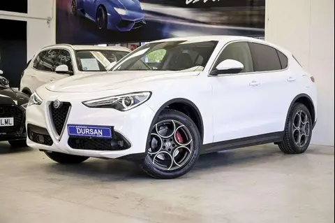 Used ALFA ROMEO STELVIO Diesel 2020 Ad 