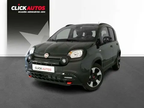 Annonce FIAT PANDA Hybride 2024 d'occasion 