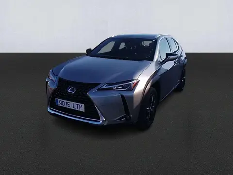 Used LEXUS UX Hybrid 2021 Ad 