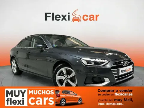 Used AUDI A4 Hybrid 2022 Ad 