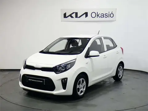 Used KIA PICANTO Petrol 2023 Ad 