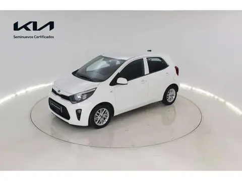 Used KIA PICANTO Petrol 2024 Ad 