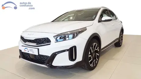 Used KIA XCEED Petrol 2024 Ad 